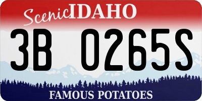 ID license plate 3B0265S