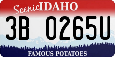 ID license plate 3B0265U