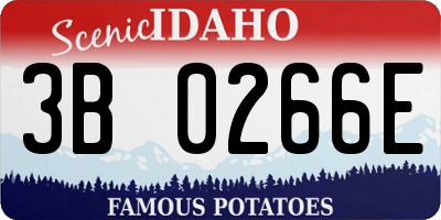 ID license plate 3B0266E