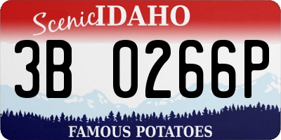 ID license plate 3B0266P
