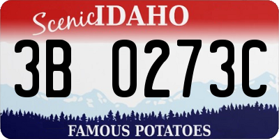 ID license plate 3B0273C