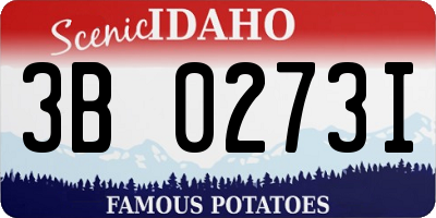 ID license plate 3B0273I