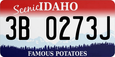 ID license plate 3B0273J