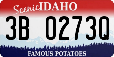 ID license plate 3B0273Q