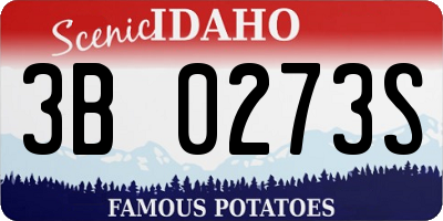 ID license plate 3B0273S