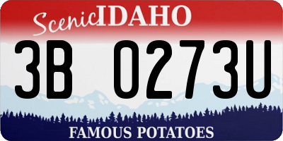 ID license plate 3B0273U