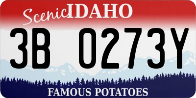 ID license plate 3B0273Y