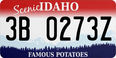 ID license plate 3B0273Z