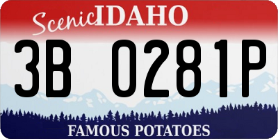 ID license plate 3B0281P