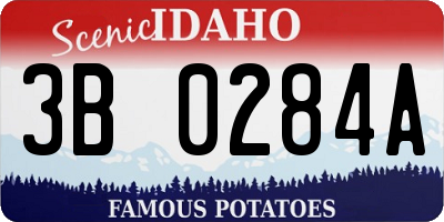 ID license plate 3B0284A