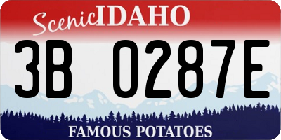 ID license plate 3B0287E