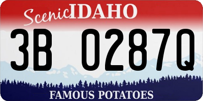 ID license plate 3B0287Q