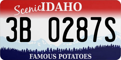 ID license plate 3B0287S