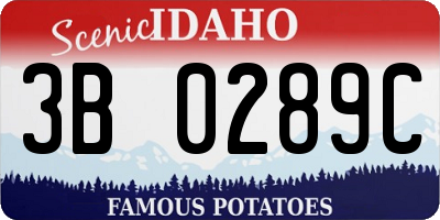 ID license plate 3B0289C