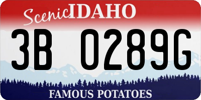 ID license plate 3B0289G