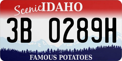 ID license plate 3B0289H