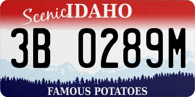 ID license plate 3B0289M
