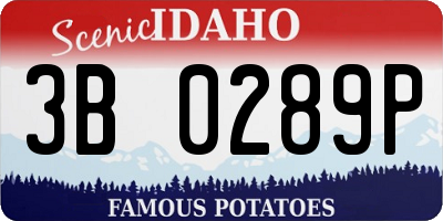 ID license plate 3B0289P