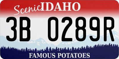 ID license plate 3B0289R