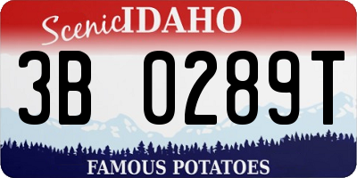 ID license plate 3B0289T