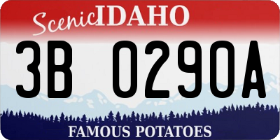 ID license plate 3B0290A