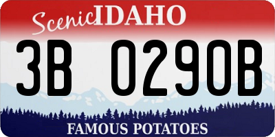 ID license plate 3B0290B