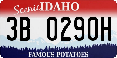 ID license plate 3B0290H