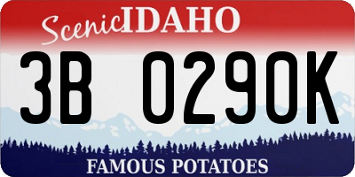 ID license plate 3B0290K