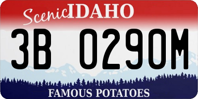 ID license plate 3B0290M