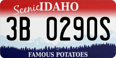 ID license plate 3B0290S