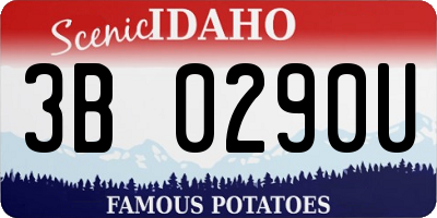 ID license plate 3B0290U