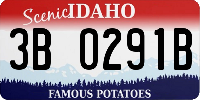 ID license plate 3B0291B