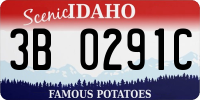 ID license plate 3B0291C