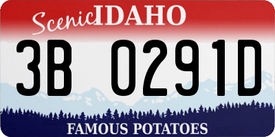 ID license plate 3B0291D