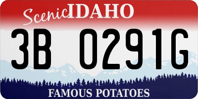 ID license plate 3B0291G