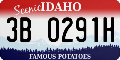 ID license plate 3B0291H