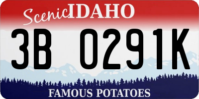 ID license plate 3B0291K