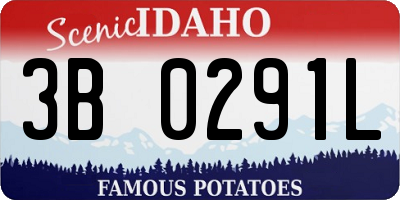 ID license plate 3B0291L