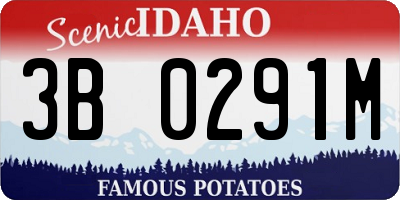 ID license plate 3B0291M
