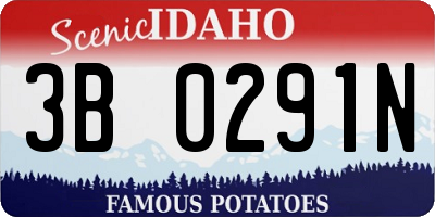 ID license plate 3B0291N