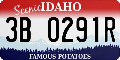 ID license plate 3B0291R