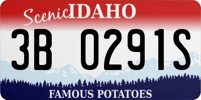 ID license plate 3B0291S
