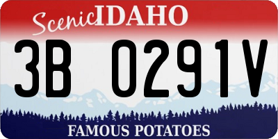 ID license plate 3B0291V