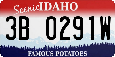 ID license plate 3B0291W