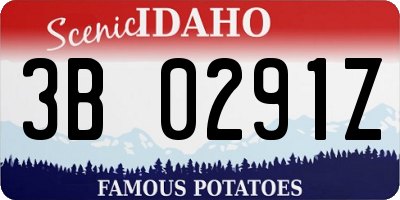 ID license plate 3B0291Z