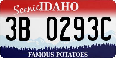 ID license plate 3B0293C
