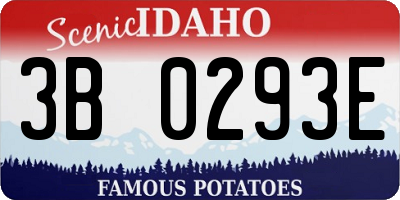 ID license plate 3B0293E