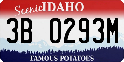 ID license plate 3B0293M
