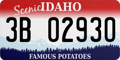 ID license plate 3B0293O
