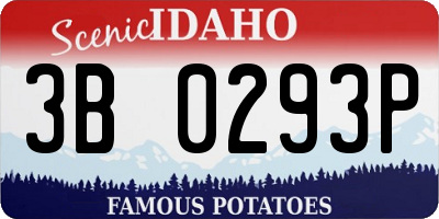 ID license plate 3B0293P
